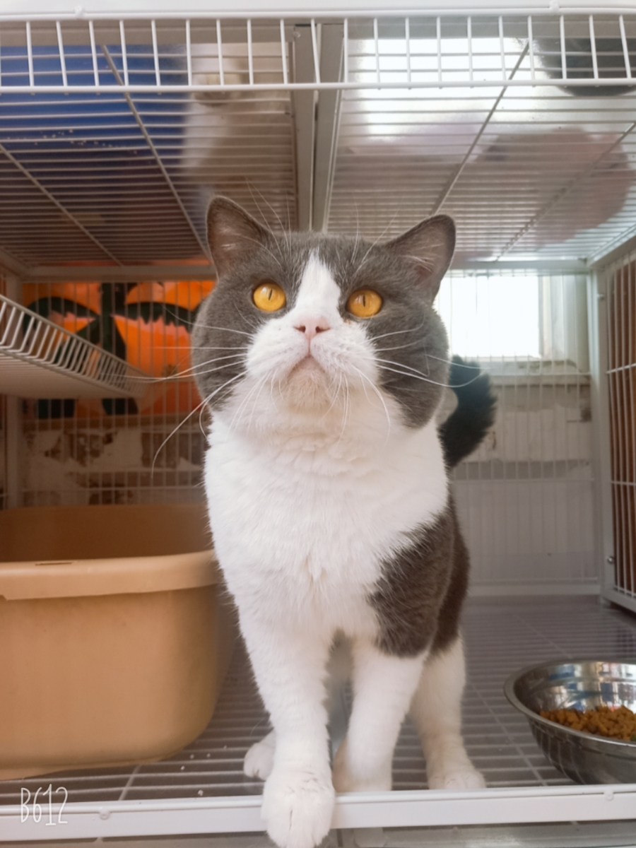 00千克发布人身份:个人交易地点:天津-河北区-建昌道街道-[地图及交通